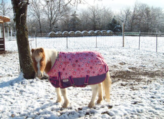 Covering the Options