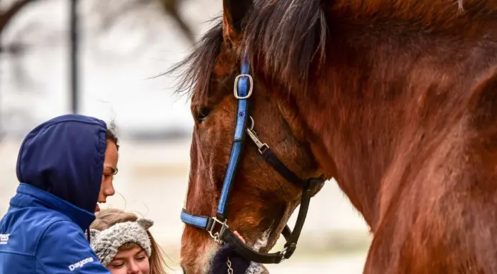 More Than Just Hauling