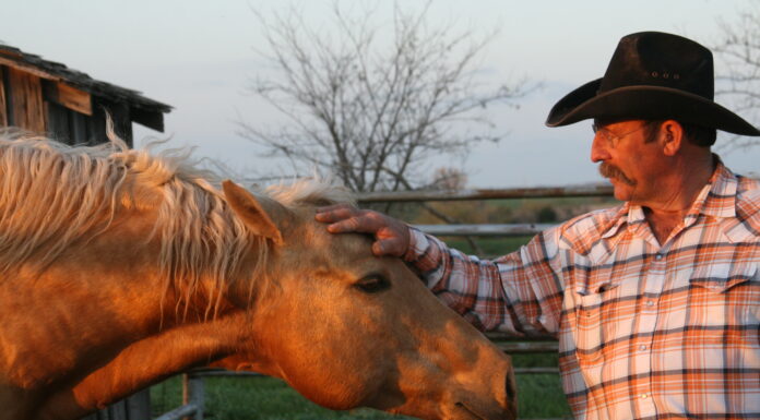 “Of Horses and Men”