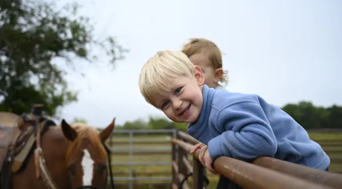 Exploring Opportunities