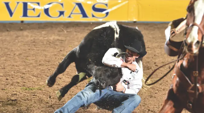 Champion Steer Wrestler