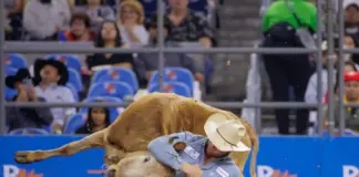 Sitting on the Bubble