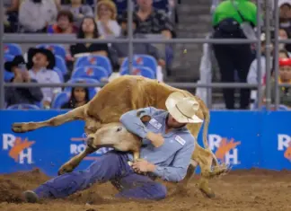 Sitting on the Bubble