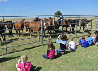 Educating the Next Generation