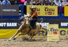 When the Dust Settled in Vegas