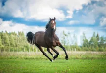 Spring Back Safely Avoid Early-Season Injuries