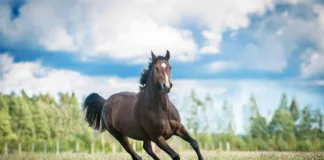 Spring Back Safely Avoid Early-Season Injuries