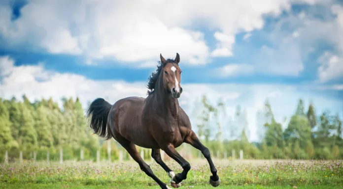 Spring Back Safely Avoid Early-Season Injuries