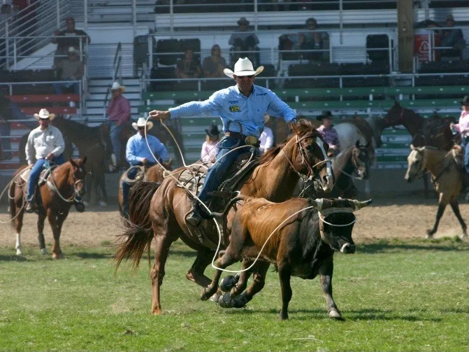 McKee steer roping at Pendleton.