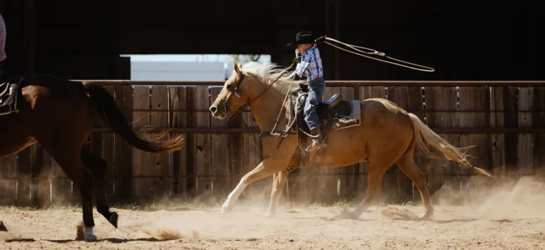 Why Horses Still Matter