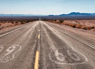 Hooves Paved the Way Hooves Paved the Way