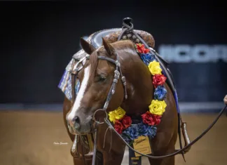 100X Reining Classic Raises the Bar Man Of The Year (Patriot x Joes Genes) made his debut at the 2025 100X Reining Classic by capturing The Invitational Open Futurity with Andrea Fappani, scoring 225. Photo by Chelsea Schneider Media.