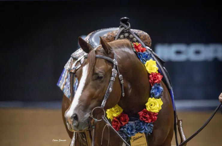 100X Reining Classic Raises the Bar Man Of The Year (Patriot x Joes Genes) made his debut at the 2025 100X Reining Classic by capturing The Invitational Open Futurity with Andrea Fappani, scoring 225. Photo by Chelsea Schneider Media.