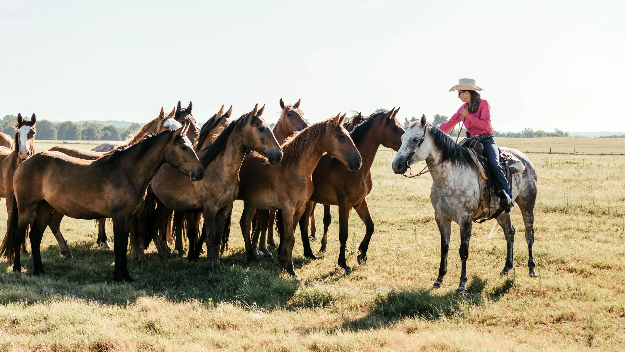 Bucking horses are in training on the Stuk B Ranch in Comanche County. Photo by Krista Davis Signature Portraiture.