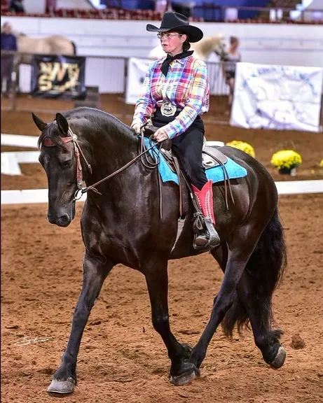 The goal of Western Dressage is to help horse and rider develop a harmonious partnership.