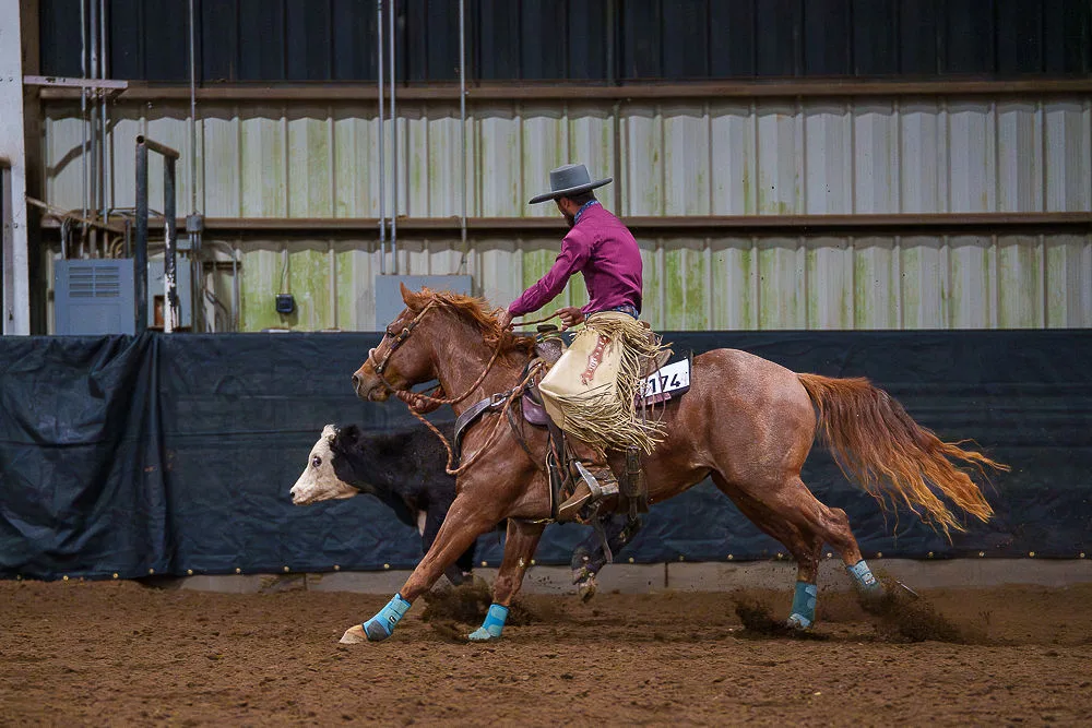 A competitor works a cow during versatility ranch horse competition.