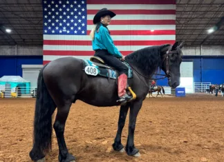 The Art of Partnership Inola dressage trainer Patty Couch and her Friesian gelding Gallant Prince Von G have been competing at the Championship Show since its debut. Prince earned WDAA’s Super Horse title in 2026.