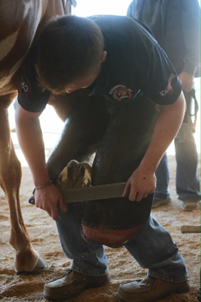 photo 1 garrett stark Several factors influence whether a horse should be barefoot or shod.