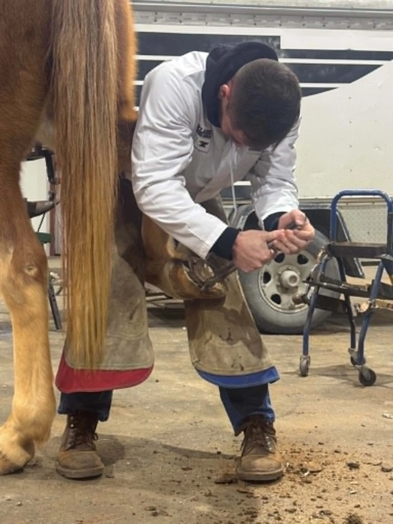 A farrier fits a shoe while working on a horse’s hoof.